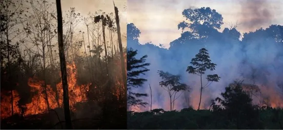 Appreciate your offer but thanks: Brazil rejects G7 aid to fight Amazon fires