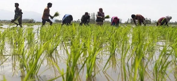 RBI Panel Pitches For Federal Body Like GST Council To Boost Credit In Farm Sector