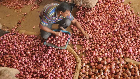 Government Bans Onion Export As Prices Jump To Four-Year High