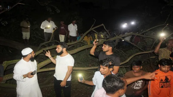 Aarey Colony Case: 29 Arrested, Section 144 Imposed As Activists Protest Cutting Of Trees