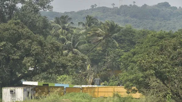 Jolt For Activists As Bombay High Court Refuses To Stay Felling Of Trees In Aarey Colony