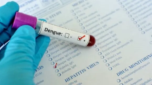 Jammu And Kashmir: More Than 200 People Test Positive For Dengue