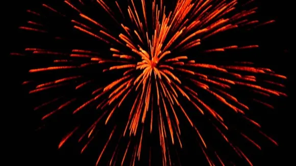 3 Held For Bursting Banned Firecrackers In Noida: District Magistrate