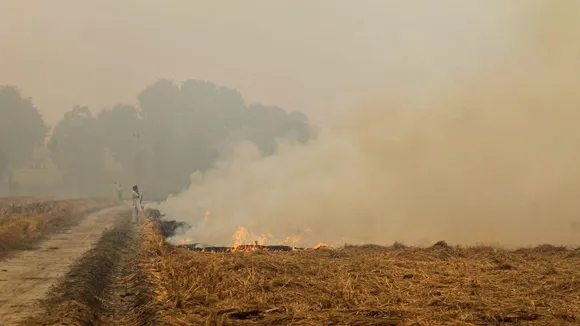 As Stubble Burning Continues, Javadekar Says Modi Govt Gave Rs 1,100 Crore To Farmers