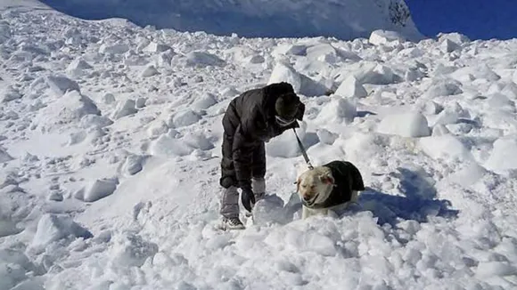 Four Indian Army Soldiers Among Six People Killed In Avalanche In Siachen Glacier 