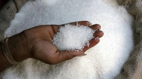 That's SO SWEET! Scientists Make Low-Calorie Sugar Using Bacteria 