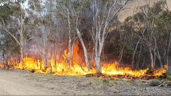 Climate Change: 2019 Was Second Hottest Year On Record, Last Decade Warmest Ever