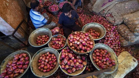 Will Imported Onions Rot In Godowns? Modi Govt Sounds Alarm As States Shun Foreign Stock 