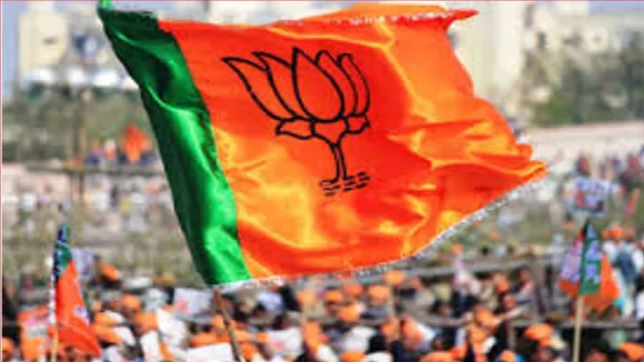 bjp flag