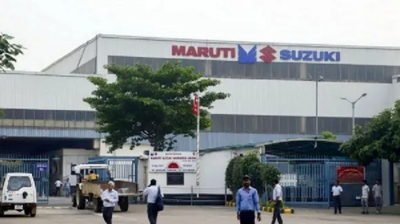 maruti suzuki