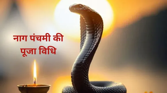 Nag Panchami Puja Vidhi