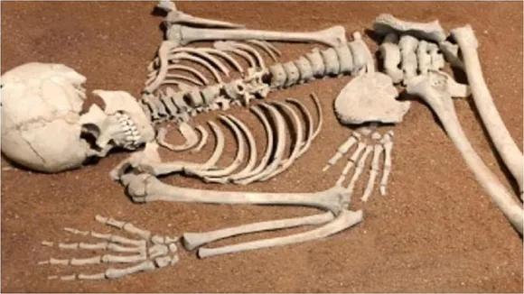 rewa human skelaton found