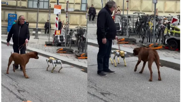 robot dog viral video