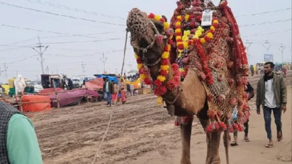Mahakumbh 2025