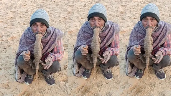 dangerous iguana into his mouth.