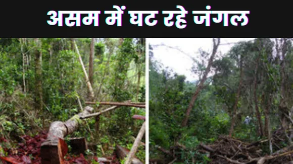 Assam News