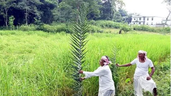 farmers in budget
