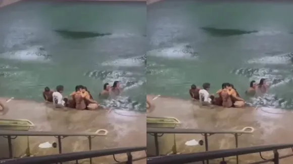 couple viral video today (1)