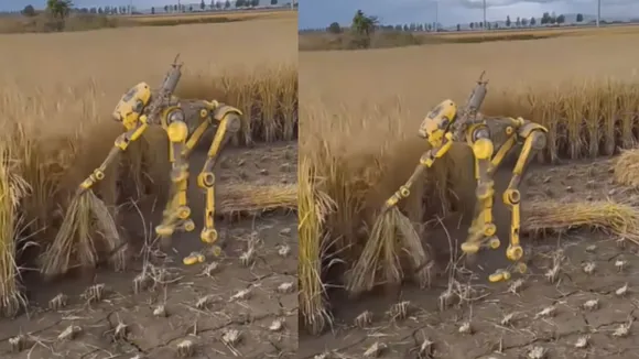 robot viral videos