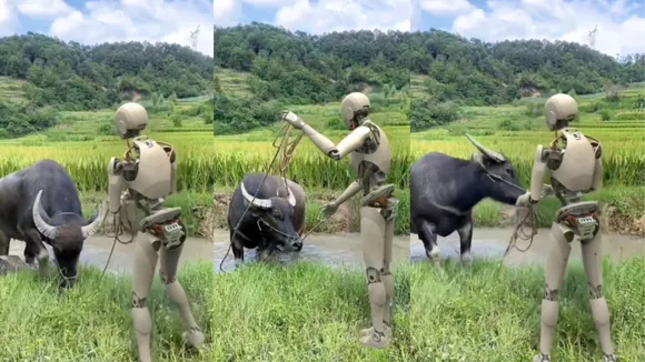 viral robot video 