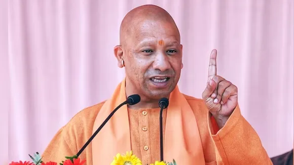 Yogi File