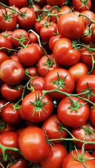 Tomato-price-web