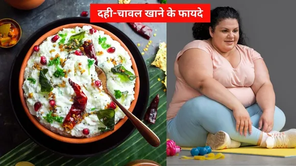 Curd Rice Benefits