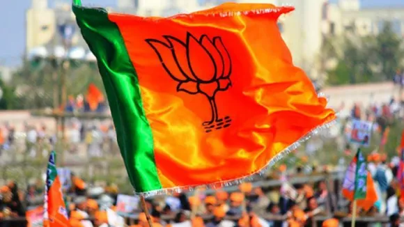 bjp flag