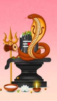 nag panchami (6)