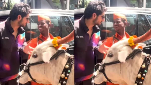 Ibrahim Ali Khan with cow