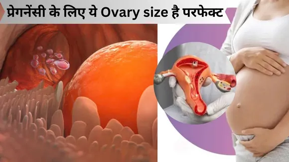 ovary