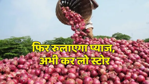 Onion Price Hike