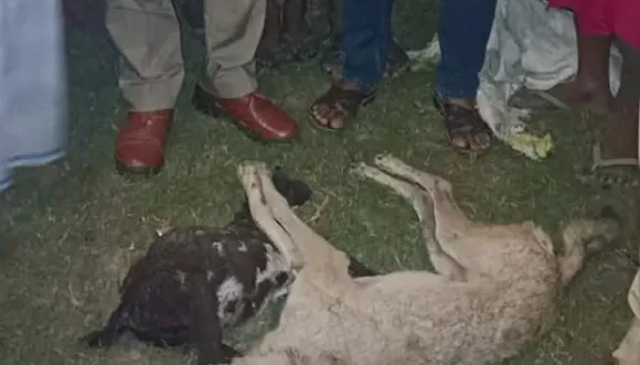 bairaich behdeyia attack