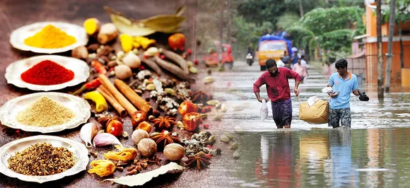 केरल बाढ़ आपके खाने का बिगाड़ सकता है स्वाद, जानें क्यों