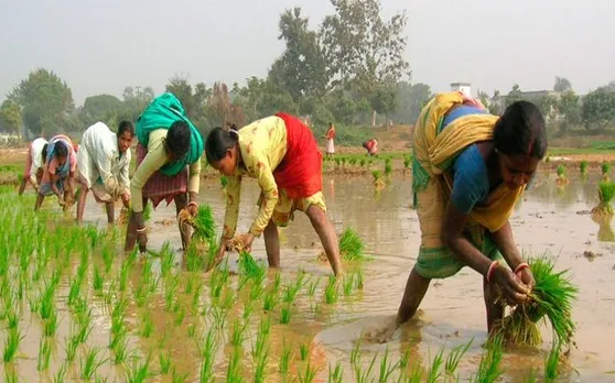 प्रधानमंत्री किसान योजना से किसानों को होगा काफी फायदा : मुख्य आर्थिक सलाहकार