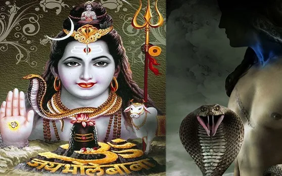 महाशिवरात्रि पर नासिक त्र्यम्बकेश्वर ज्योतिर्लिंग मे धूम, ओम नम: शिवाय के जयकारों से गूंज उठी त्र्यम्बकेश्वर नगरी