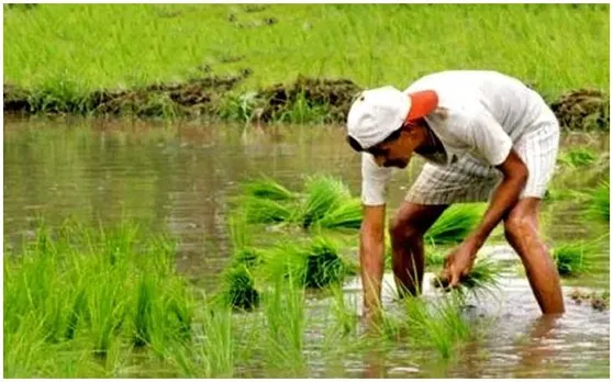 मोदी सरकार ने किसानों को दिया ये बड़ा तोहफा, अब इतने दिनों में ही मिलेगा क्रेडिट कार्ड