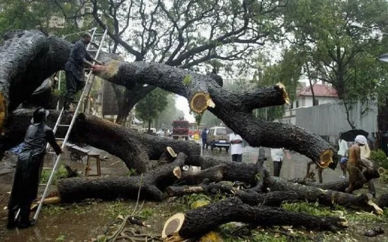 मुंबई की आरे कॉलोनी (Aarey Colony) सुर्खियों में क्यों है, जानें मायानगरी के उबलने की पूरी कहानी