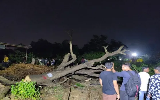 महाराष्ट्र सरकार पर बरसे रोहित शर्मा, पेड़ों की कटाई के खिलाफ उठाई आवाज