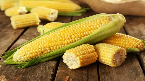 Corn