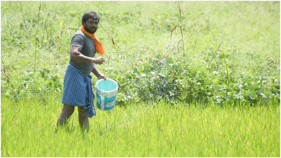 Kharif Crop Sowing Report