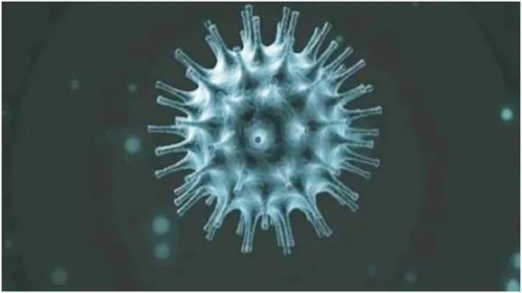 Coronavirus