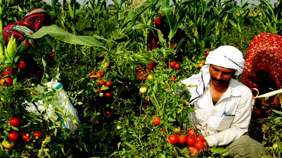 farming