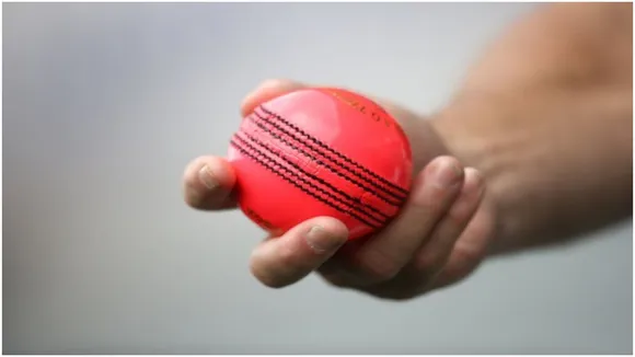 pink ball cricbuzz