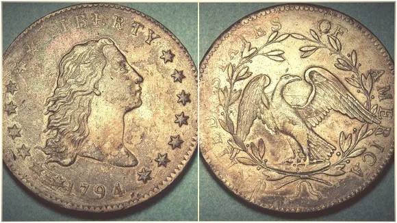 Flowing Hair Silver Dollar