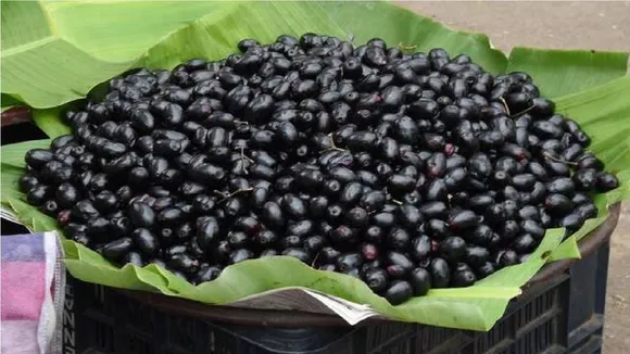 Jamun