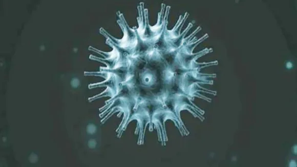 coronavirus