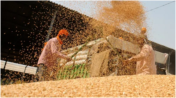 Grain Market