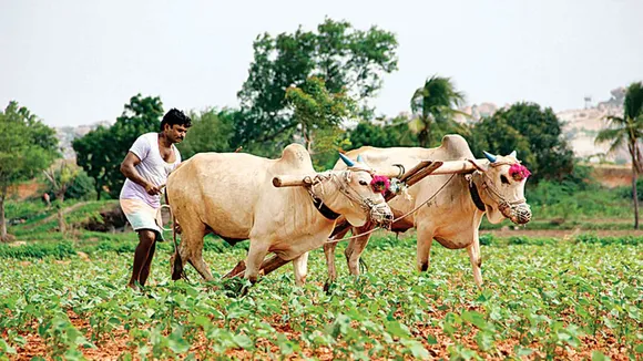 Pradhan Mantri Kisan Samman Nidhi Scheme-PM KISAN