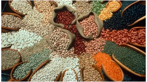 Pulses Stock Limit Latest News